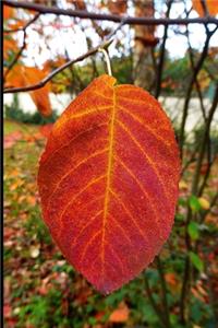Bright Orange Leaf Journal