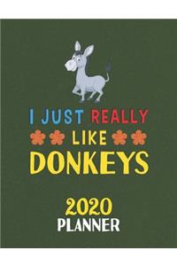 I Just Really Like Donkeys 2020 Planner
