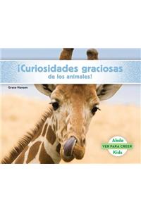 Curiosidades Graciosas de Los Animales! (Animal Facts to Make You Smile!)