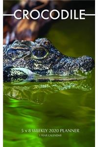 Crocodile 5 x 8 Weekly 2020 Planner