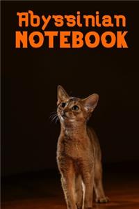 Abyssinian notebook