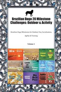 Brazilian Dogo 20 Milestone Challenges