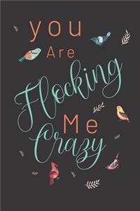 You are flocking me crazy