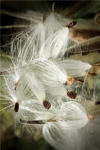 Milkweed Plant with Seed Pods Journal