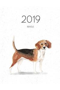 2019 Beagle