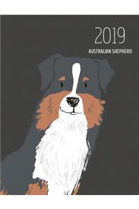 2019 Australian Shepherd