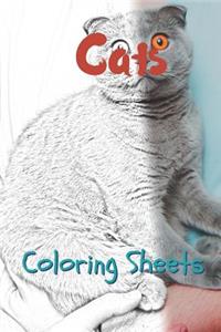 Cat Coloring Sheets