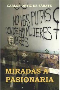 Miradas a Pasionaria
