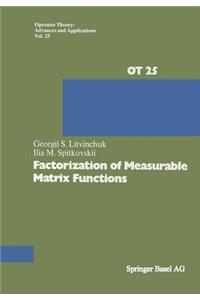 Factorization of Measurable Matrix Functions