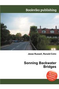 Sonning Backwater Bridges