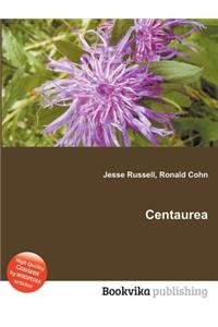 Centaurea