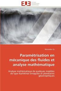 Paramétrisation En Mécanique Des Fluides Et Analyse Mathématique