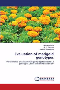 Evaluation of marigold genotypes