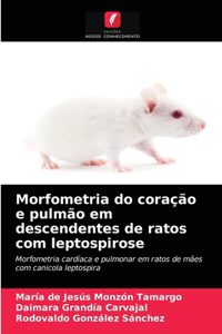 Morfometria do coração e pulmão em descendentes de ratos com leptospirose