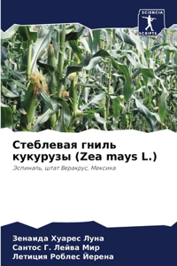 &#1057;&#1090;&#1077;&#1073;&#1083;&#1077;&#1074;&#1072;&#1103; &#1075;&#1085;&#1080;&#1083;&#1100; &#1082;&#1091;&#1082;&#1091;&#1088;&#1091;&#1079;&#1099; (Zea mays L.)