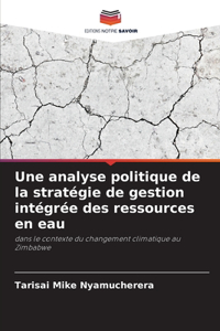 analyse politique de la stratégie de gestion intégrée des ressources en eau