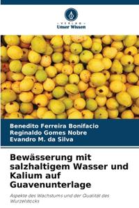 Bewässerung mit salzhaltigem Wasser und Kalium auf Guavenunterlage