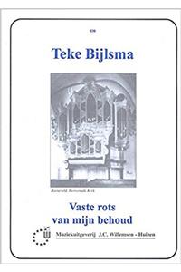 VASTE ROTS VAN MIJN BEHOUD