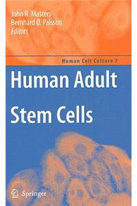 Human Adult Stem Cells