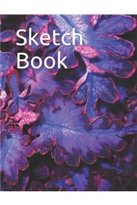 Sketch Book