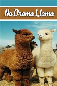 No Drama Llama