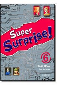 Super Surprise: 6: Activity Book and Multi-ROM Pack