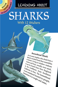 Learning About Sharks