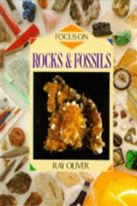 Focus on: Rocks and Fossils