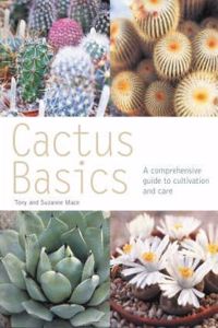 Cacti Basics