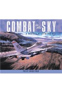 Combat in the Sky