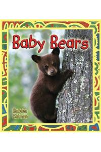 Baby Bears
