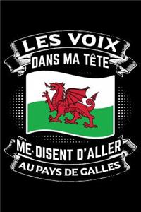 Les Voix Dans Ma Tête Disent D'Aller au Pays de Galles
