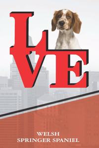 Welsh Springer Spaniel
