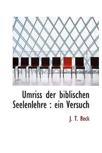 Umriss Der Biblischen Seelenlehre: Ein Versuch