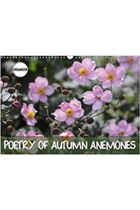 Poetry of Autumn Anemones 2018