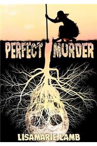 Perfect Murder