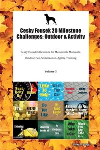 Cesky Fousek 20 Milestone Challenges