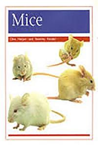 Pets: Mice