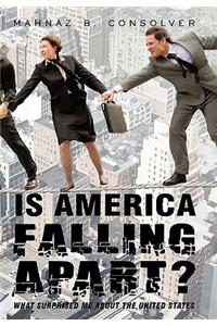 Is America Falling Apart?: What Surprised Me about the United States