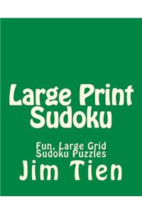 Large Print Sudoku
