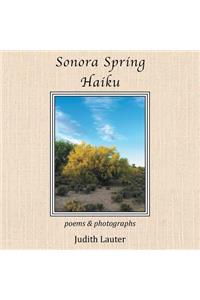 Sonora Spring Haiku