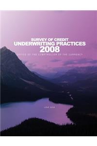 Survey of Credit Underwriting Practices 2008