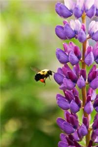 Purple Lupine and Bumblebee Journal