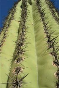 Saguaro Cactus Spines Journal