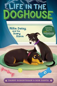 Millie, Daisy, and the Scary Storm