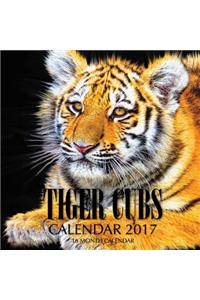 Tiger Cubs Calendar 2017