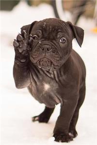 A Precious Little Black Bulldog Puppy in the Snow Journal