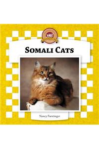 Somali Cats