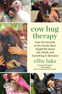 Cow Hug Therapy