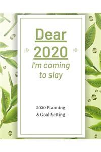 Dear 2020 I'm Coming To Slay
